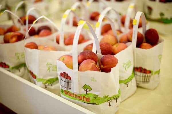 Apple Picking in Connecticut