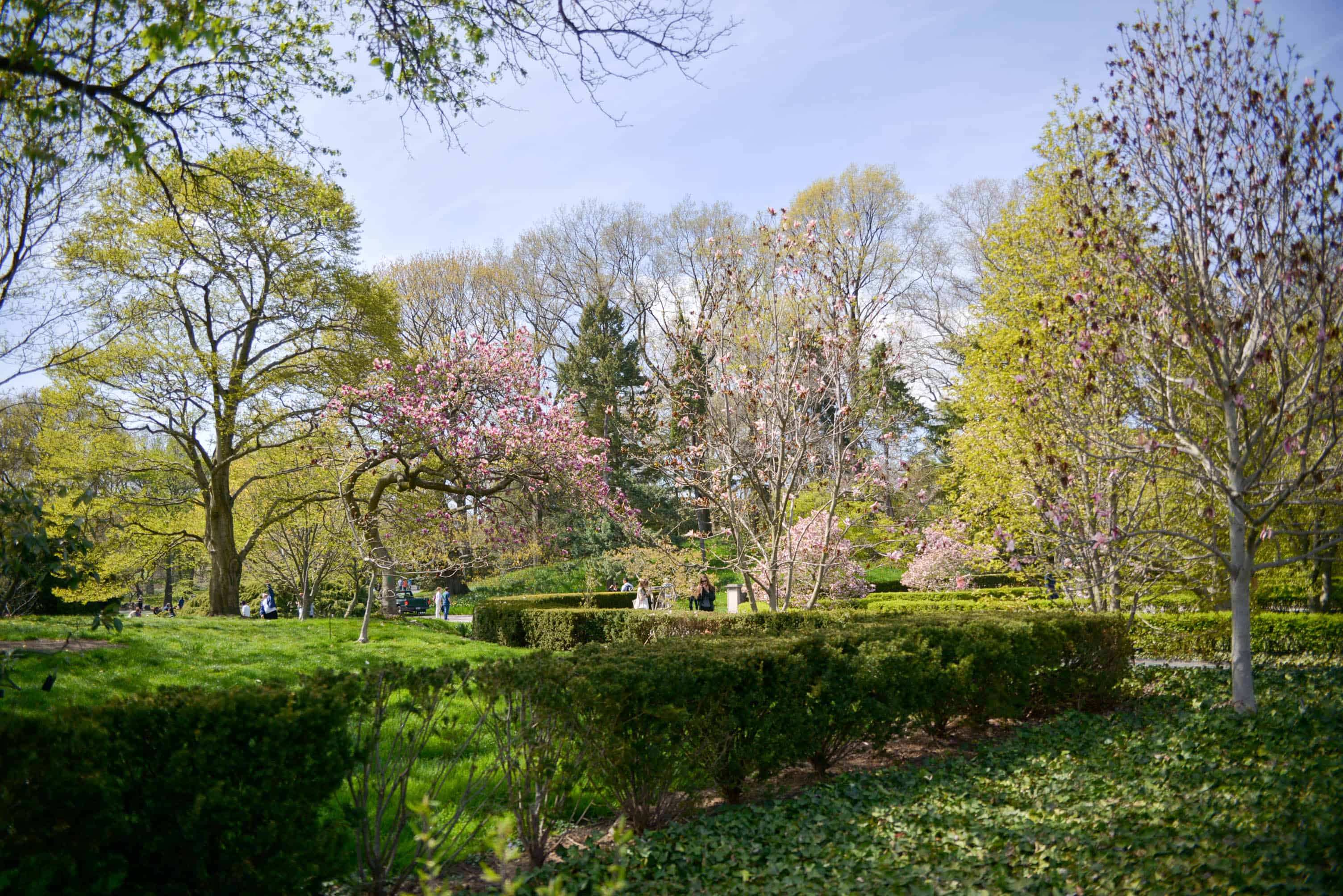 when to visit brooklyn botanic garden