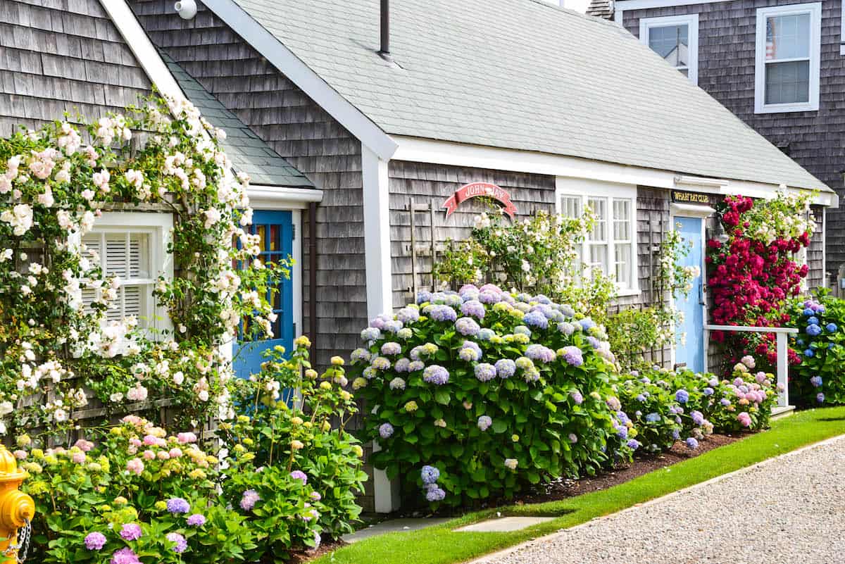 Nantucket Cottages