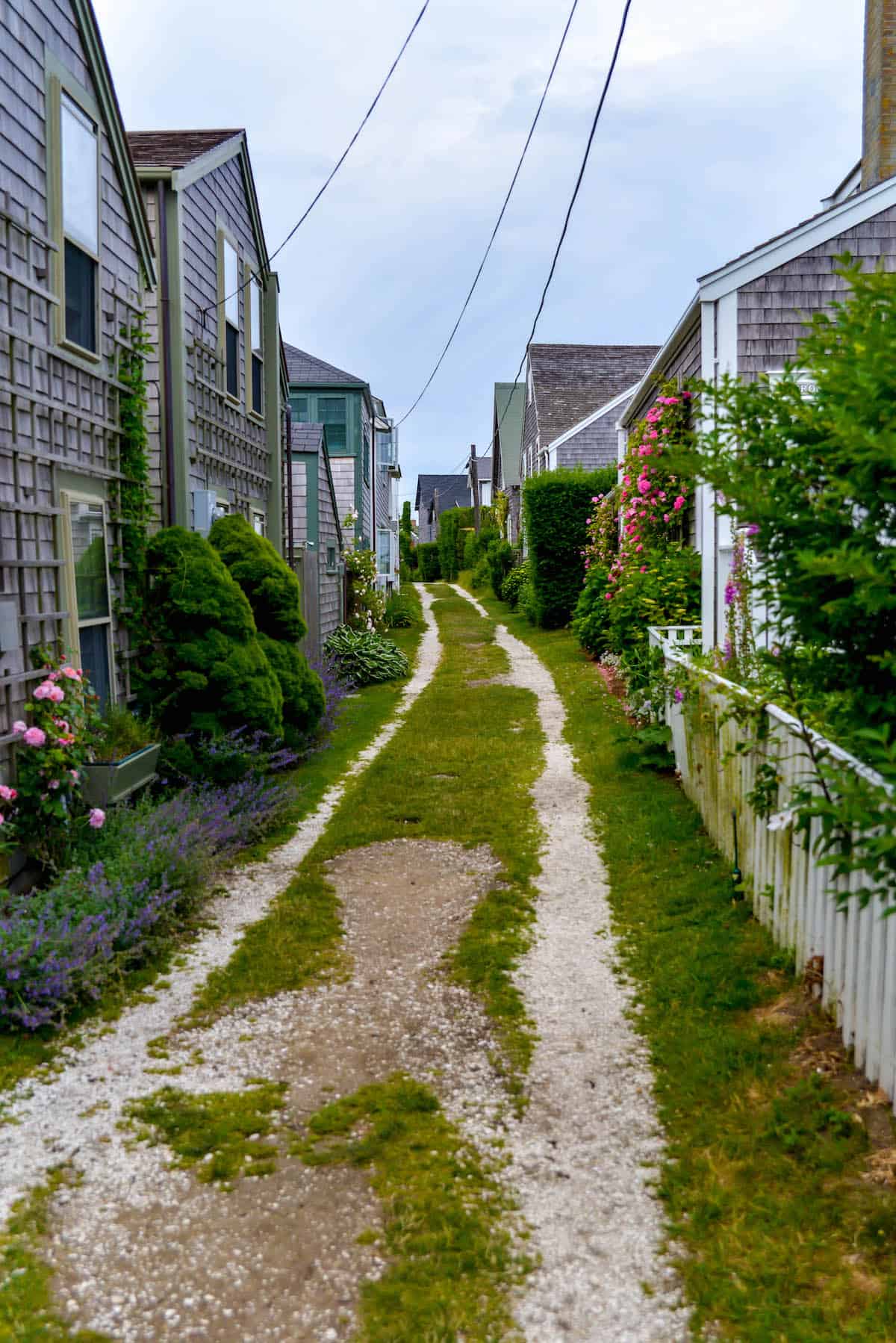 Sconset Nantucket Bluff Walk