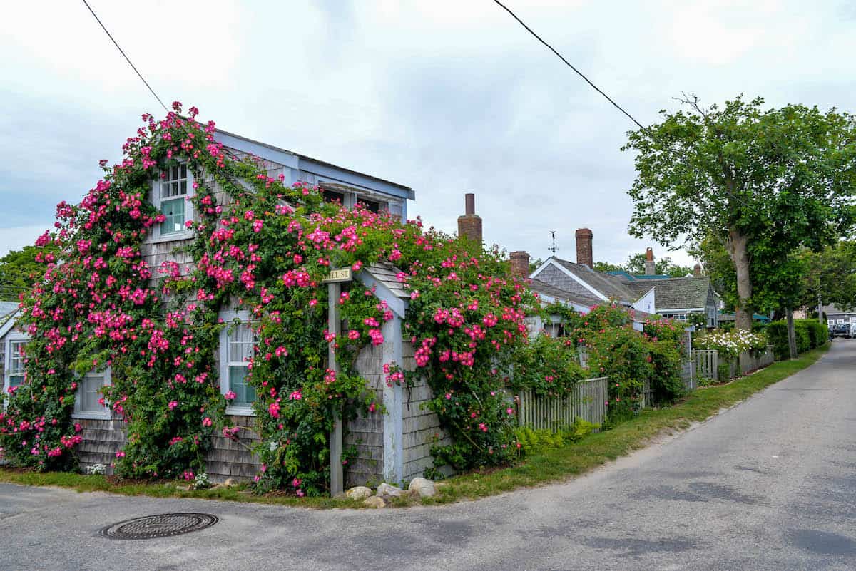 Sconset Nantucket Cottage