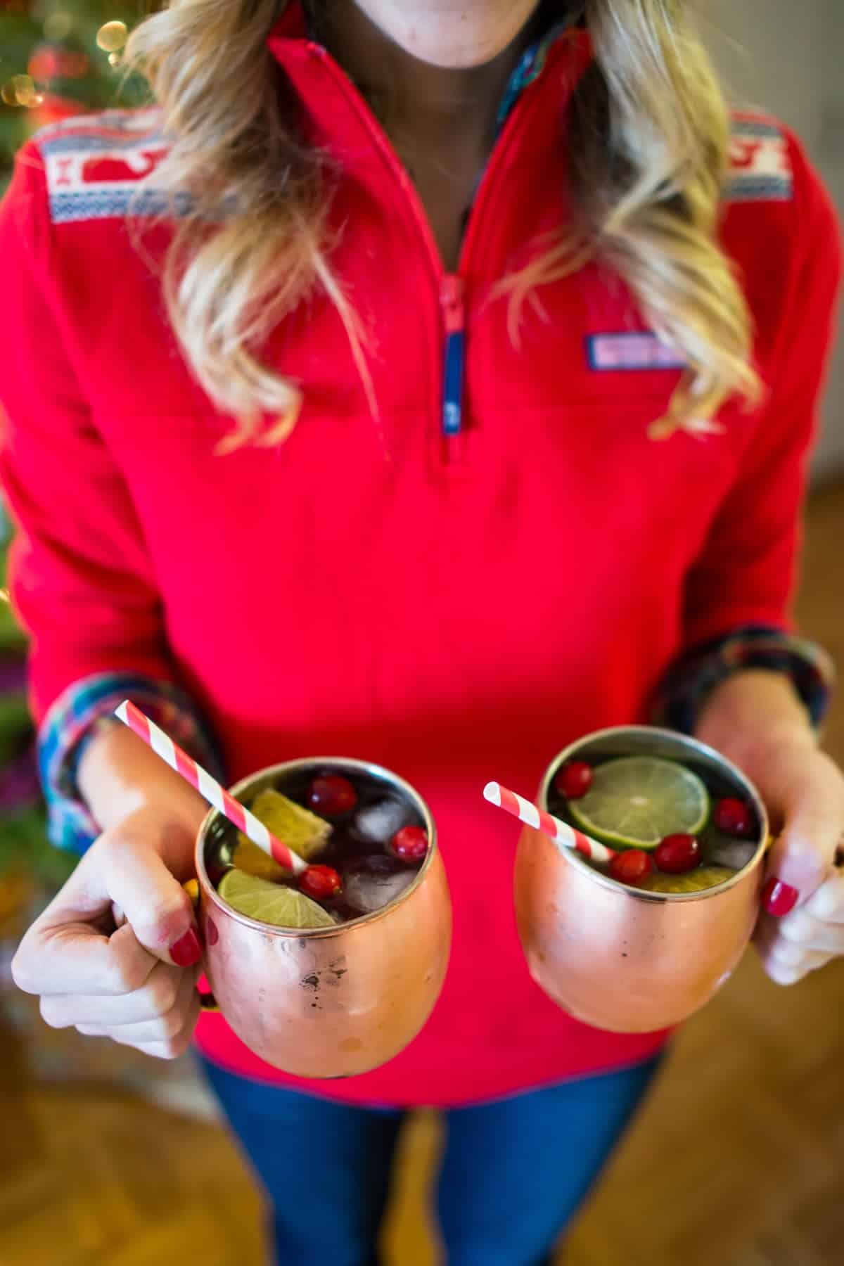 Holiday Cranberry Pomegranate Moscow Mule Recipe