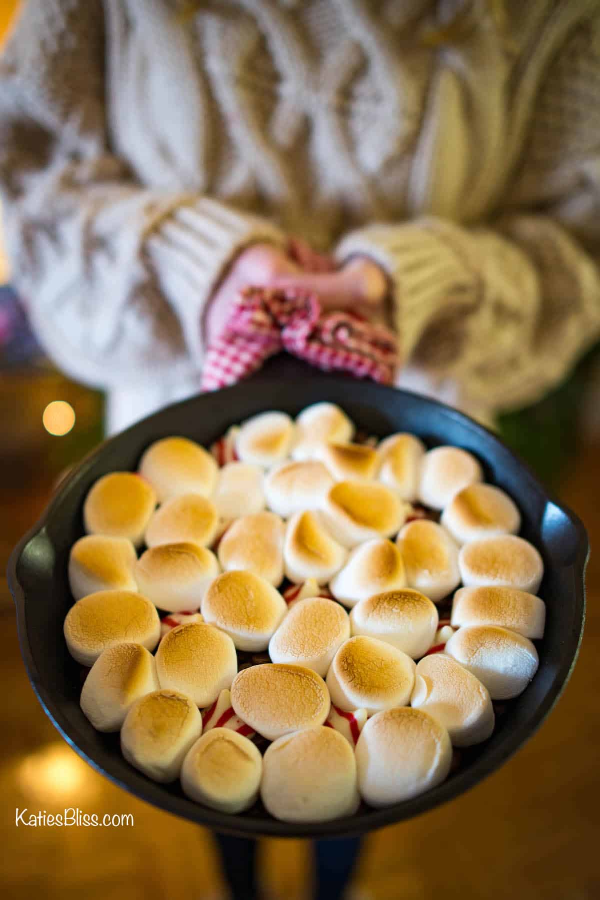 Holiday Skillet S'Mores Dip Recipe