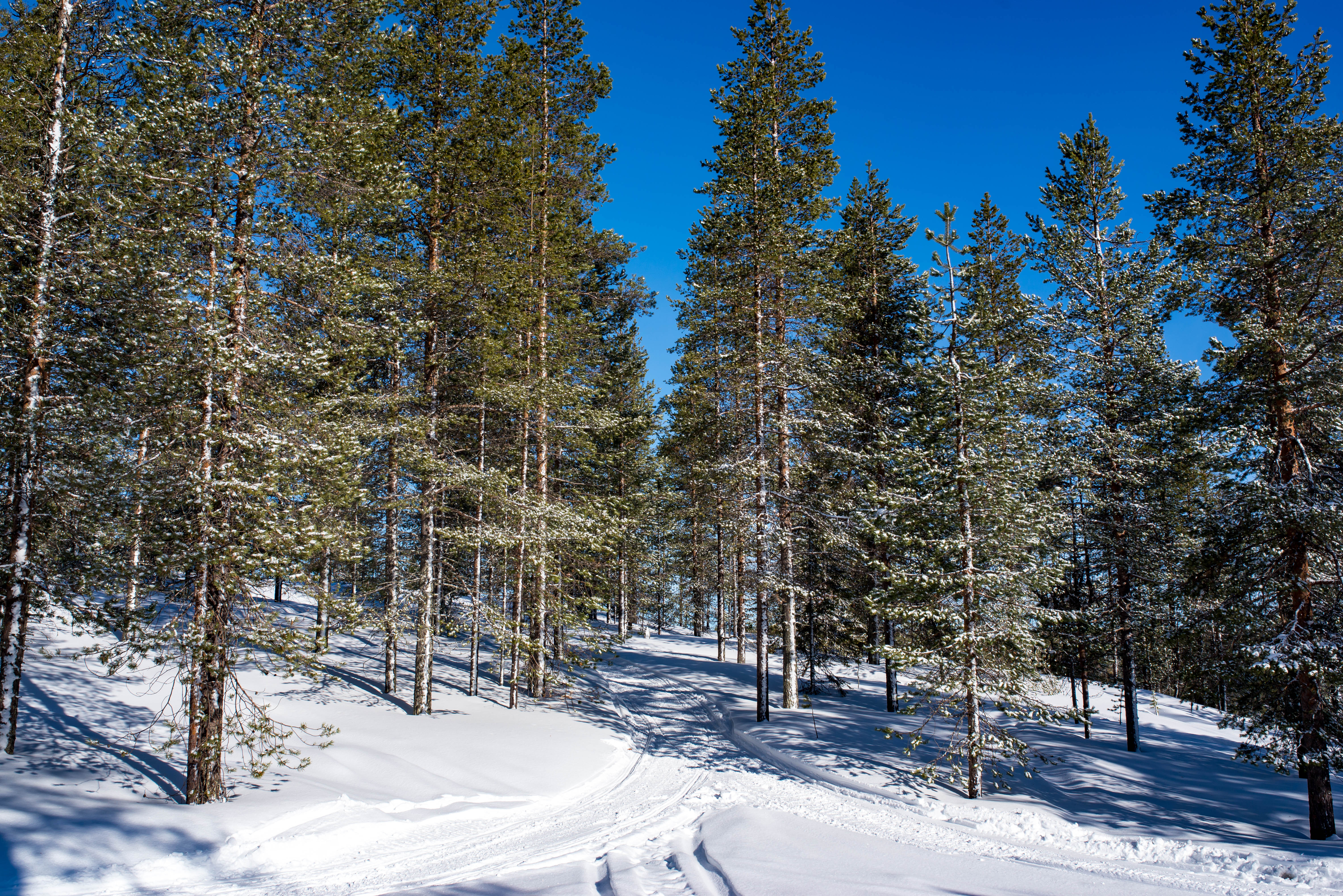 Lapland Finland