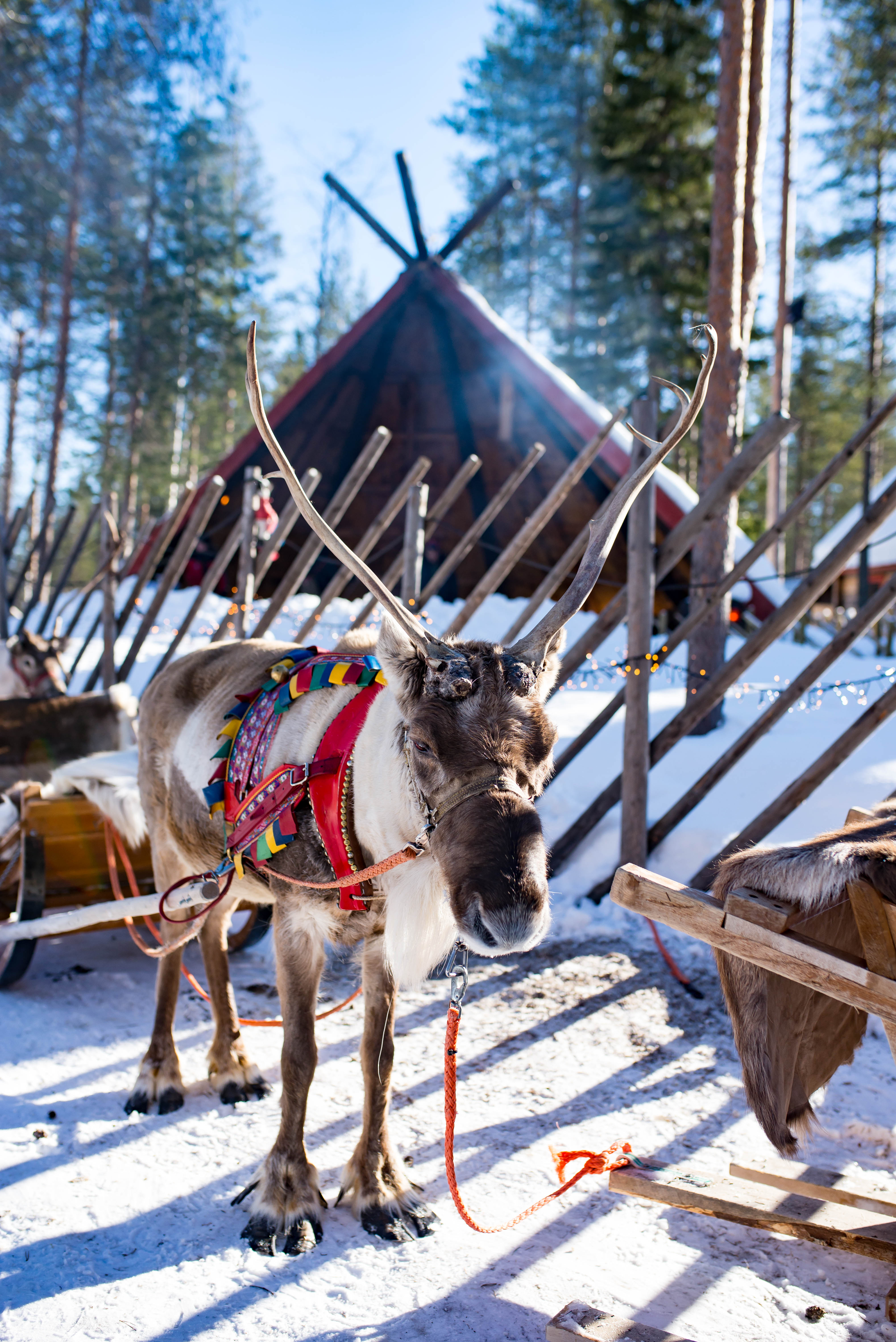 Santa Claus Village Rovaniemi Finland