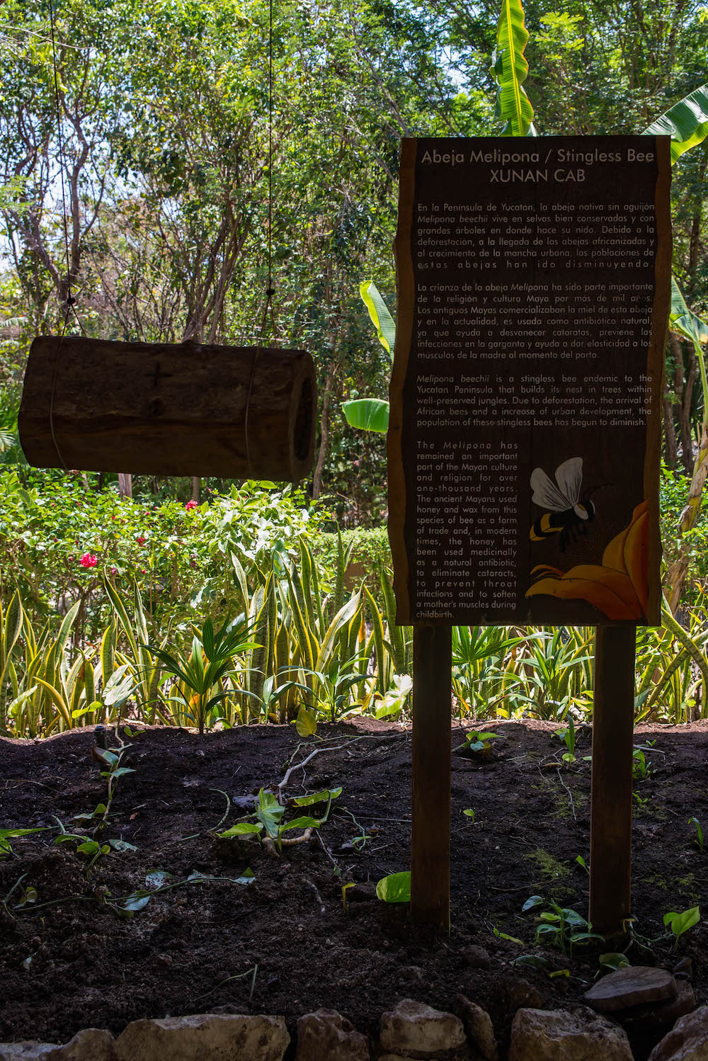 Fairmont Mayakoba Resort Review & Photo Diary