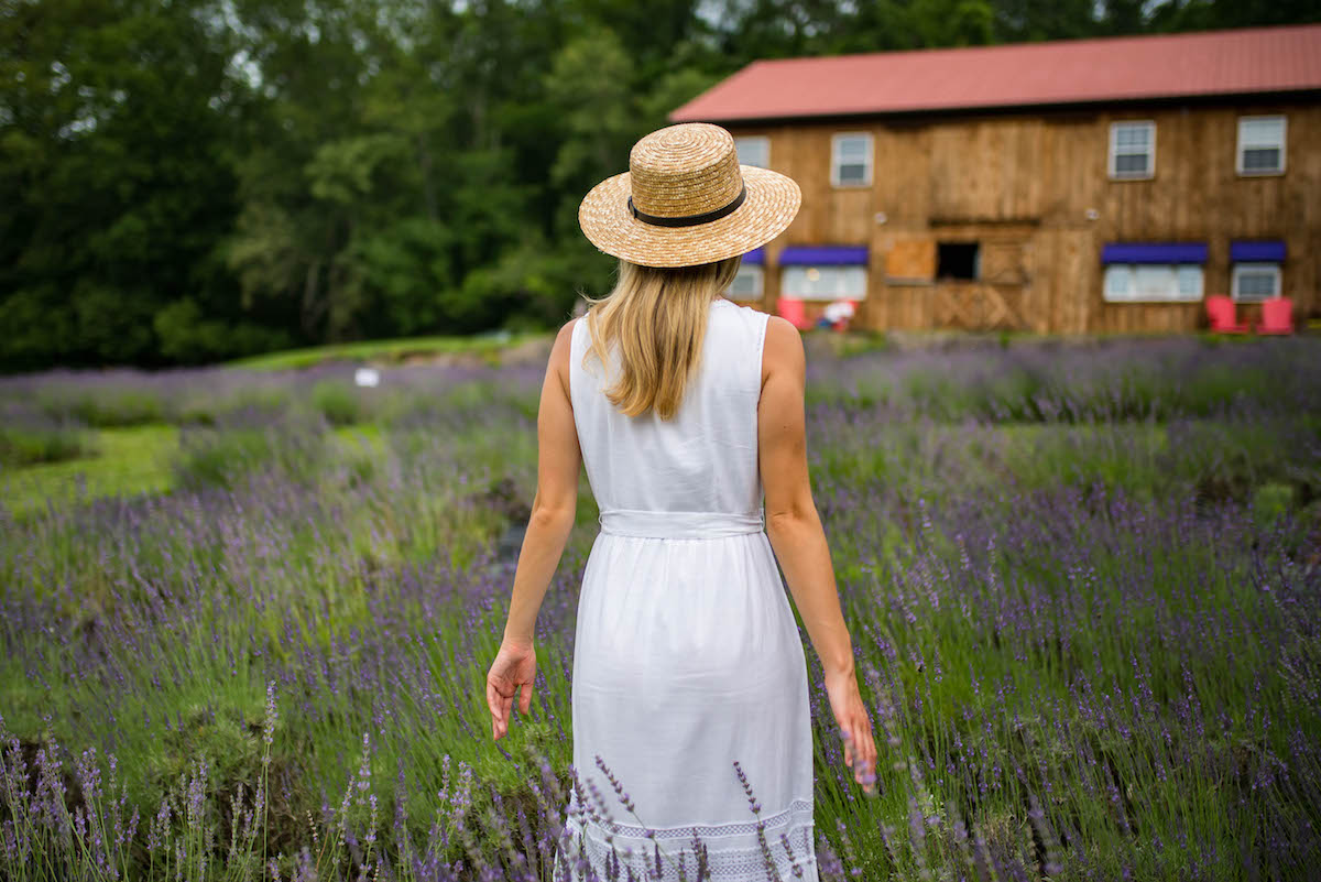 Lavender Farm