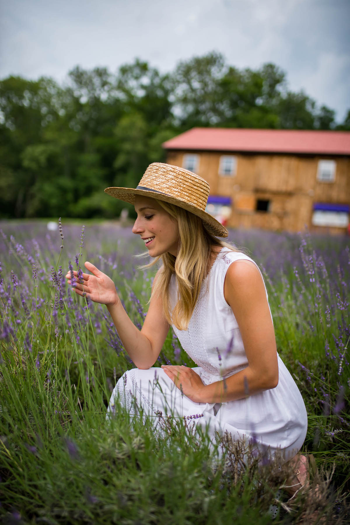 Lavender Farm