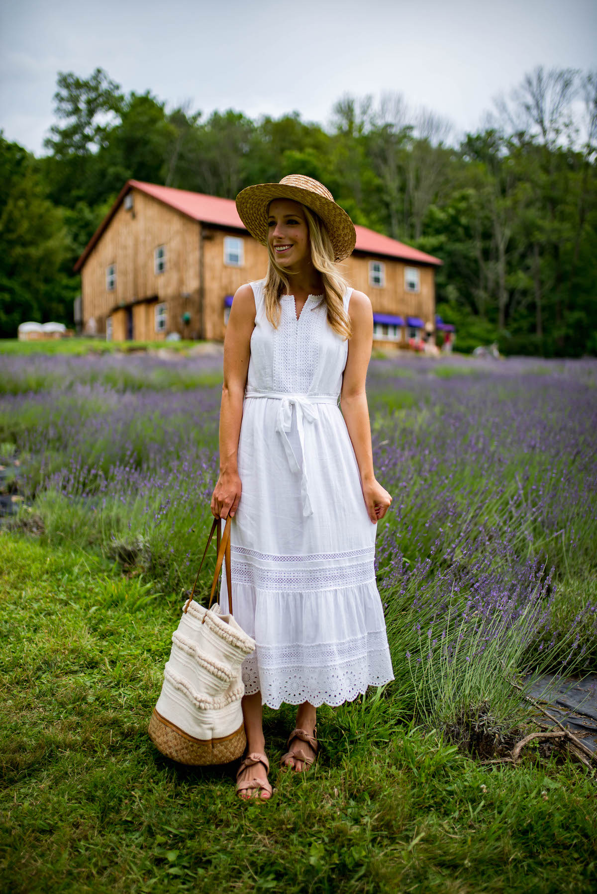 Lavender Farm