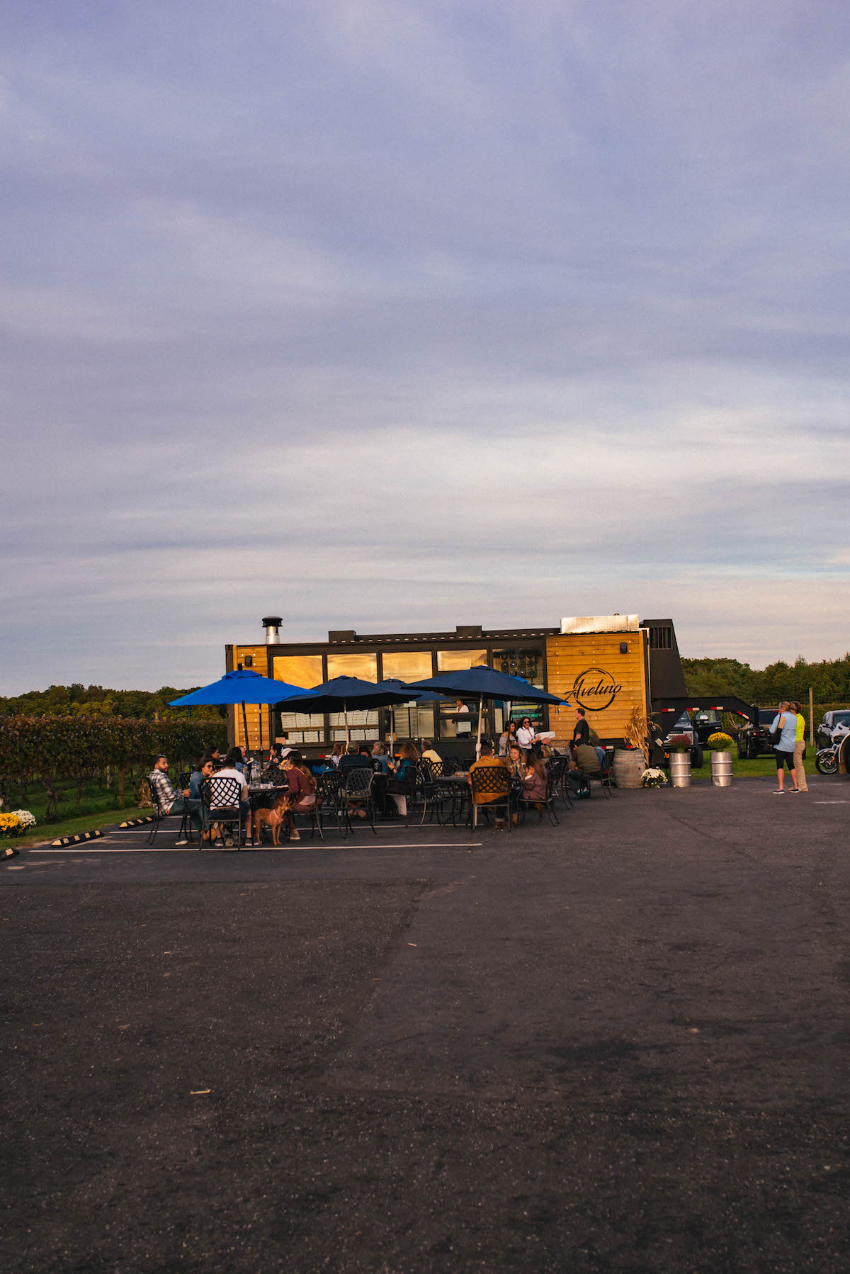 Macari Vineyards Long Island