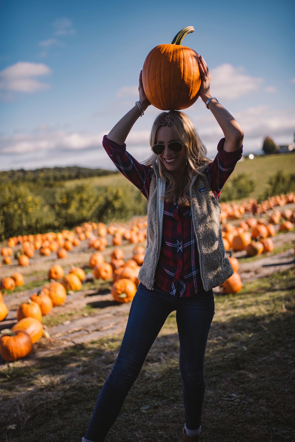 Pumpkin Patch