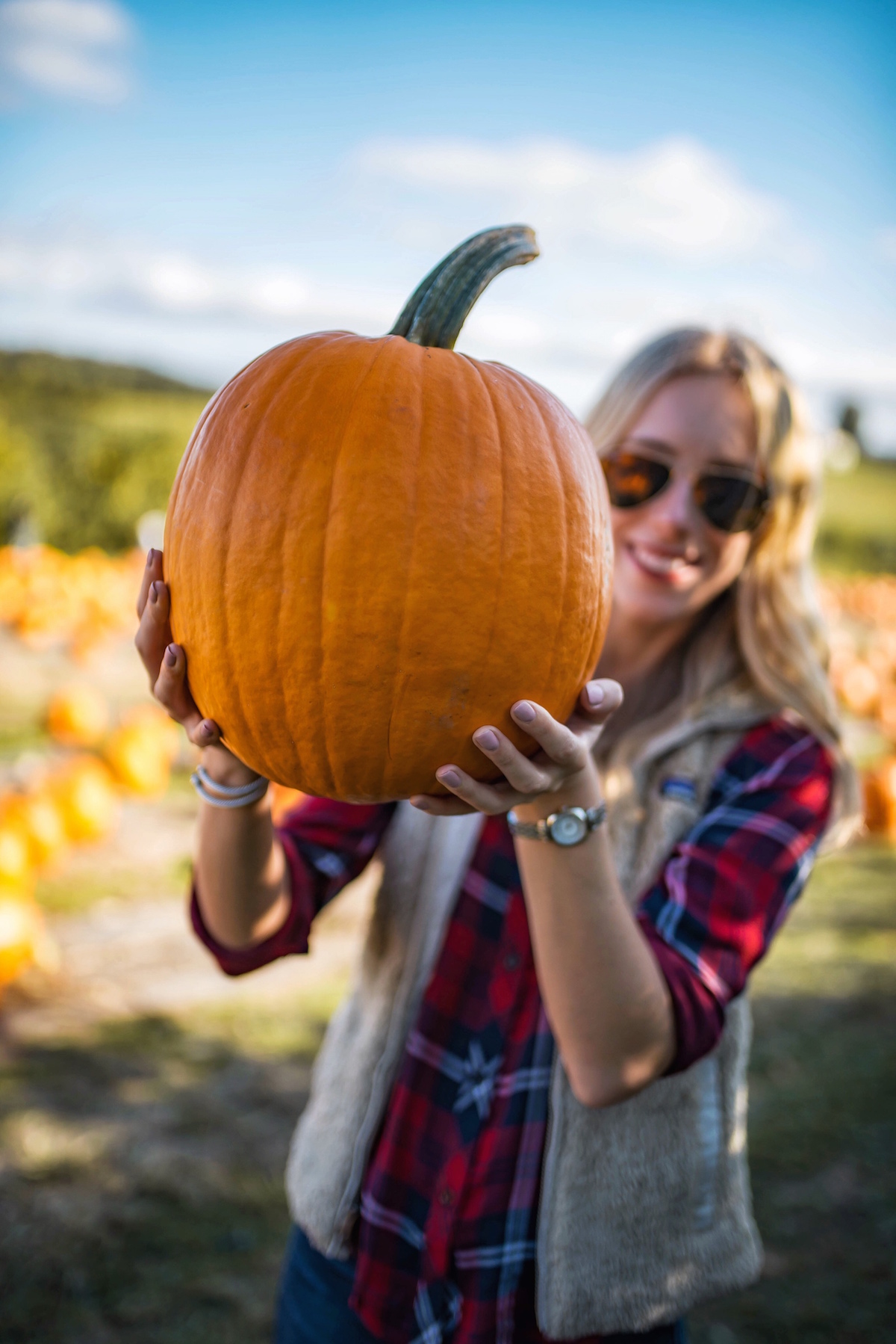 Pumpkin Picking