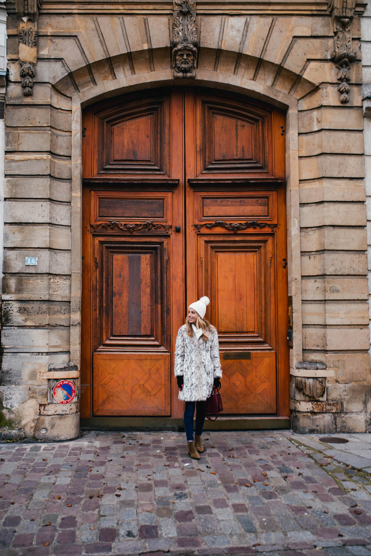 Beautiful Wooden Paris Door