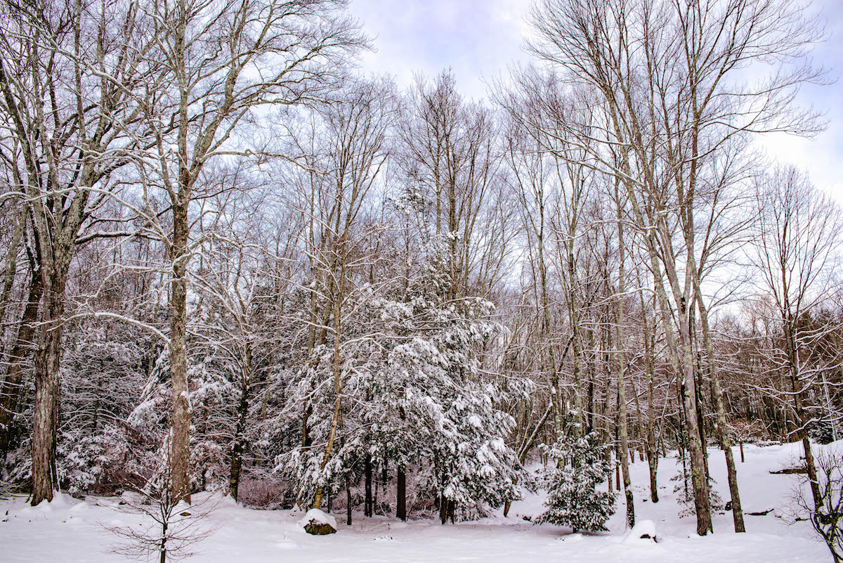 New England Snowfall