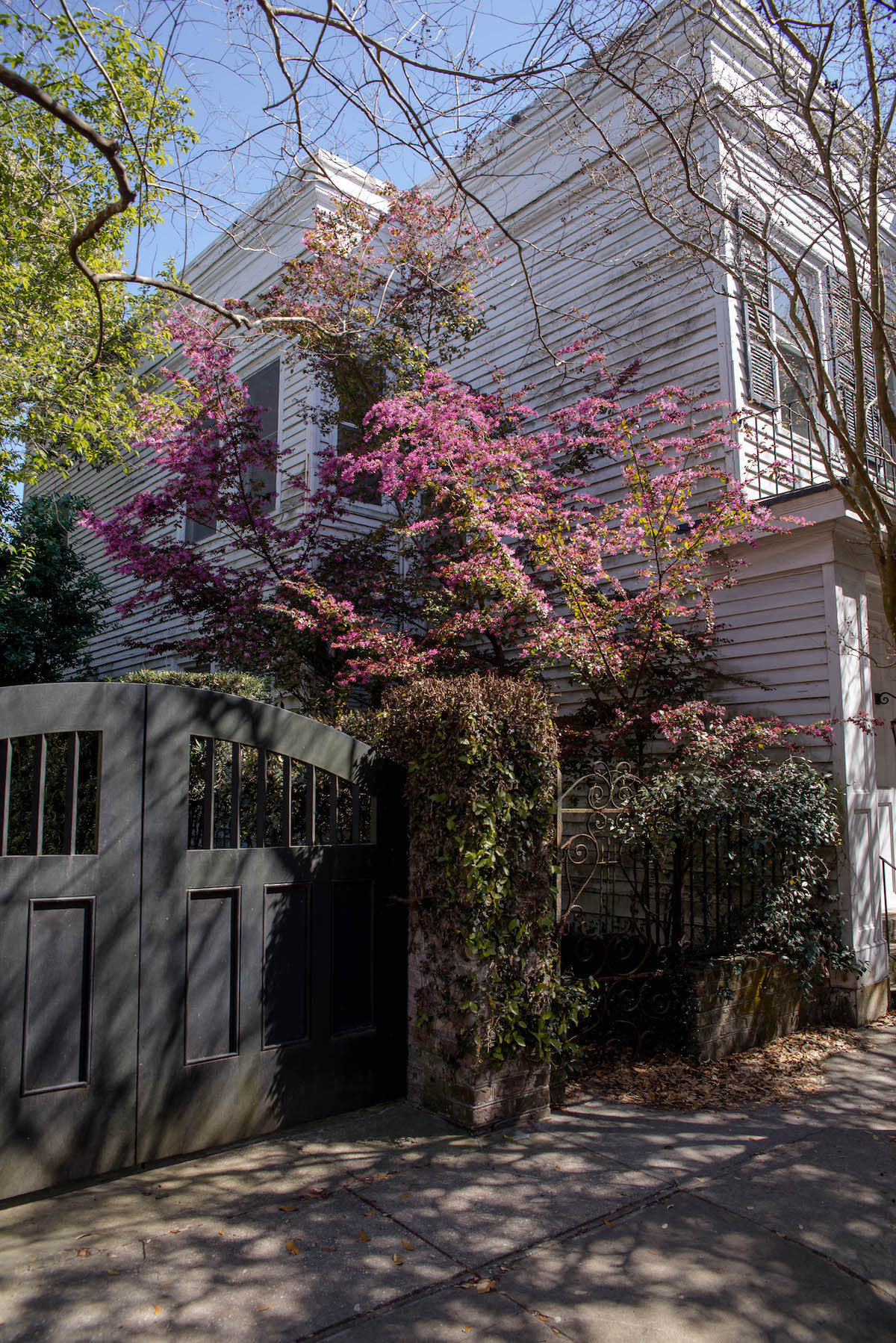 Downtown Charleston Homes