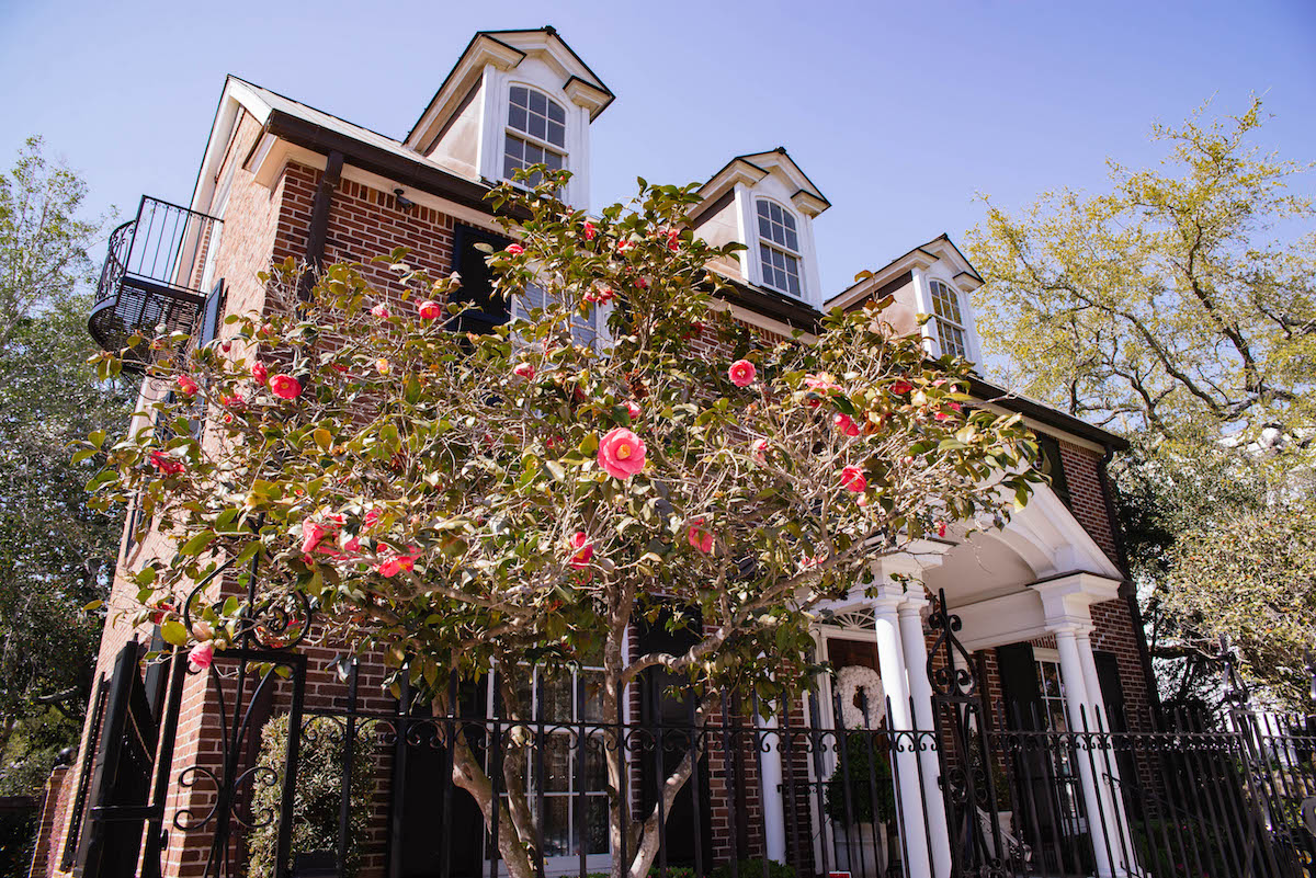 Downtown Charleston