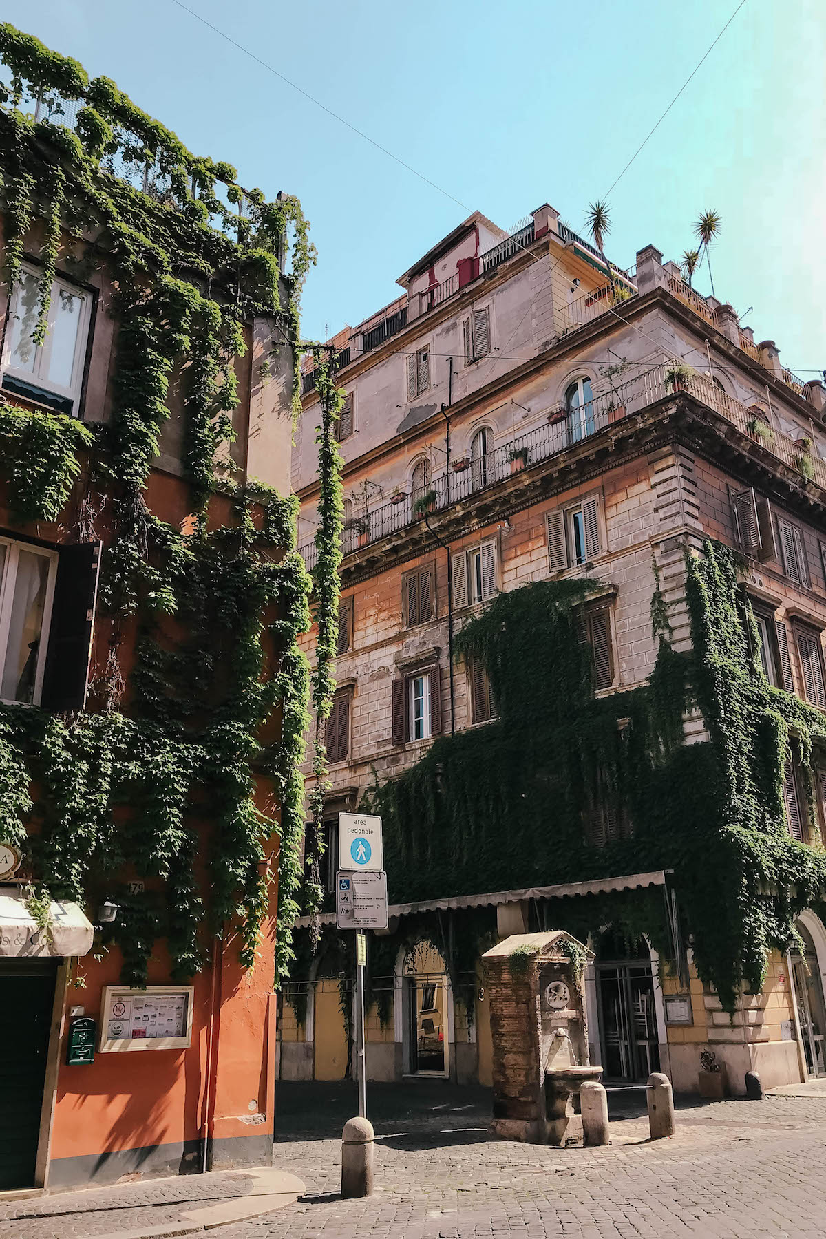 Hedera Gelato Rome