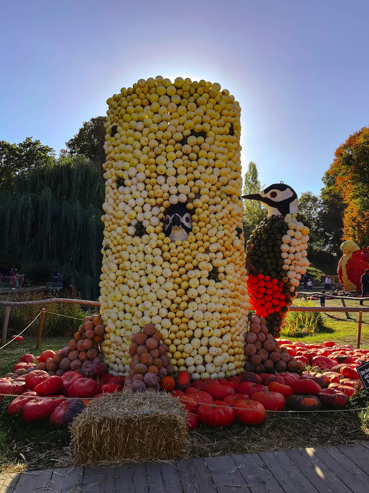 Ludwigsburg Pumpkin Festival Germany