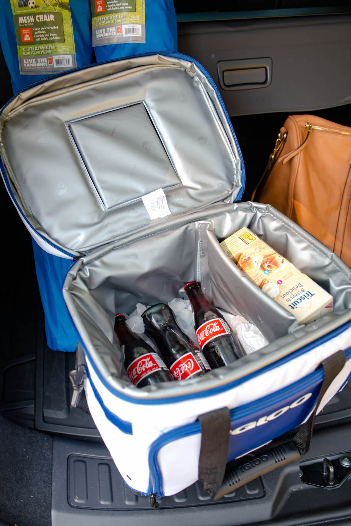 travel essentials car