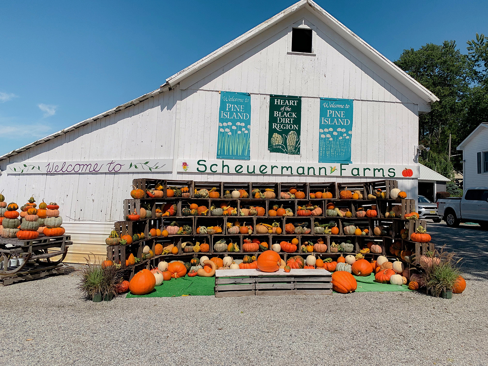 Scheuermann Farms New York