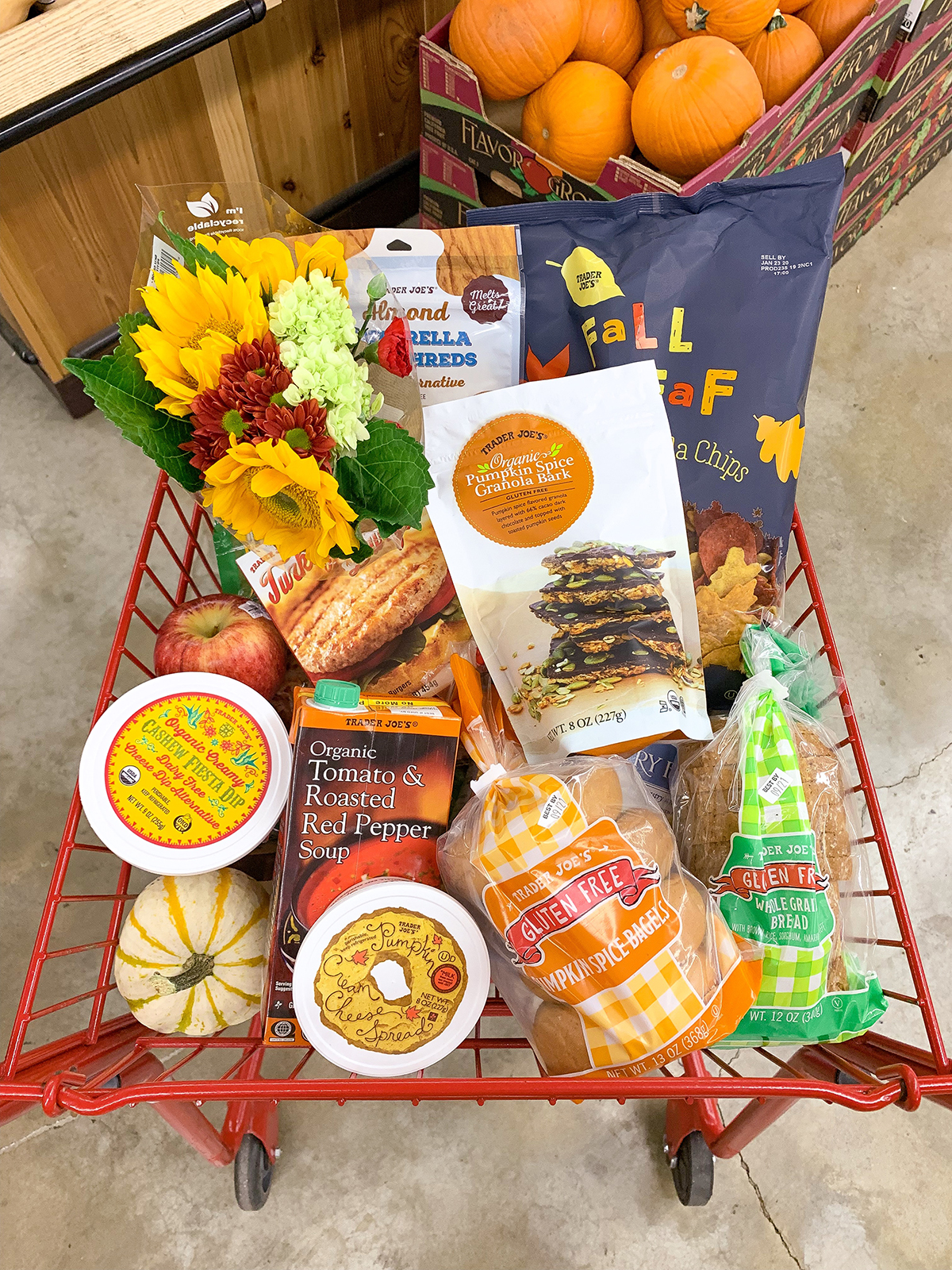 Trader Joes Fall Grocery Haul
