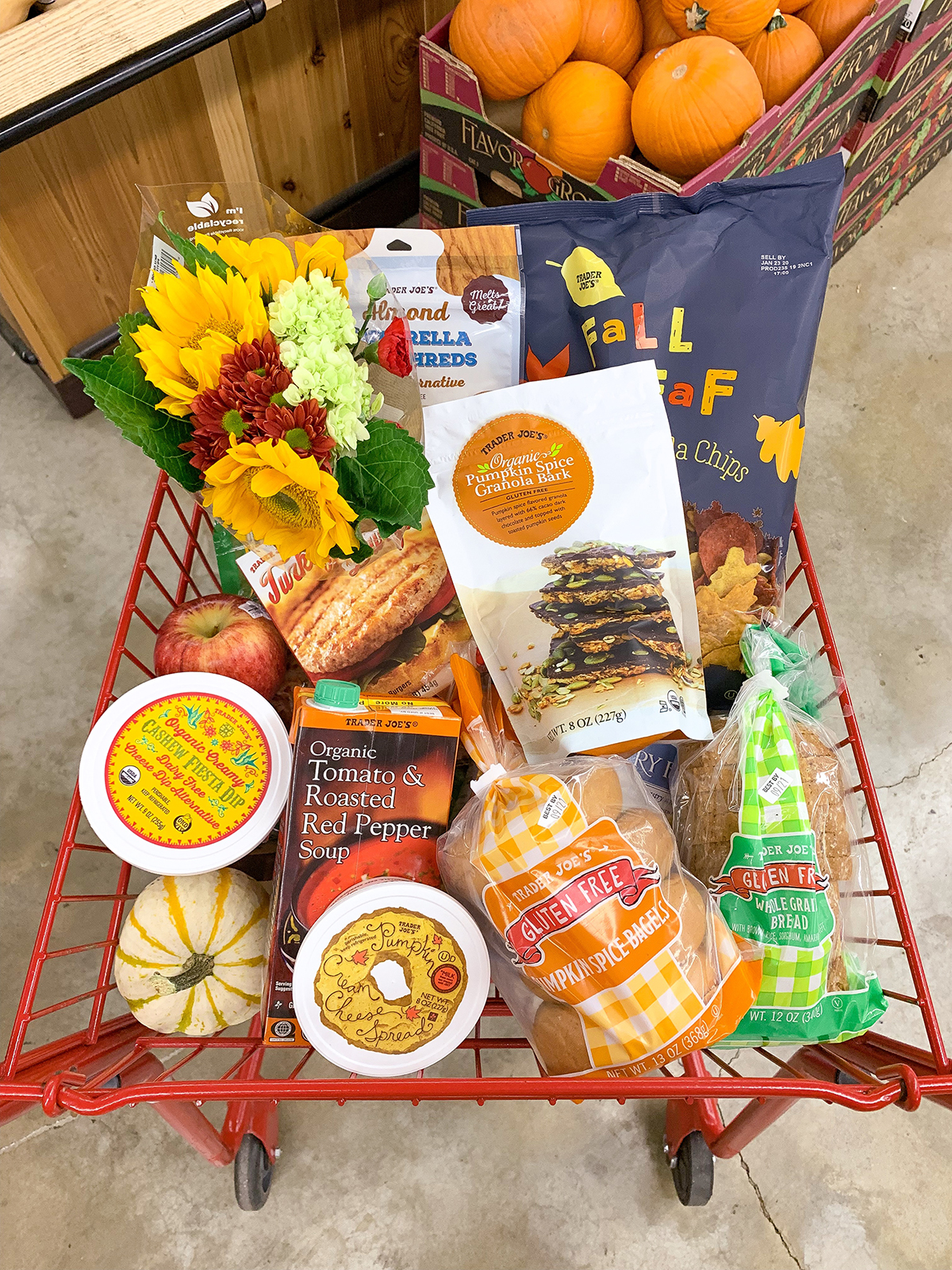 Trader Joe's Fall Grocery Haul Katie's Bliss