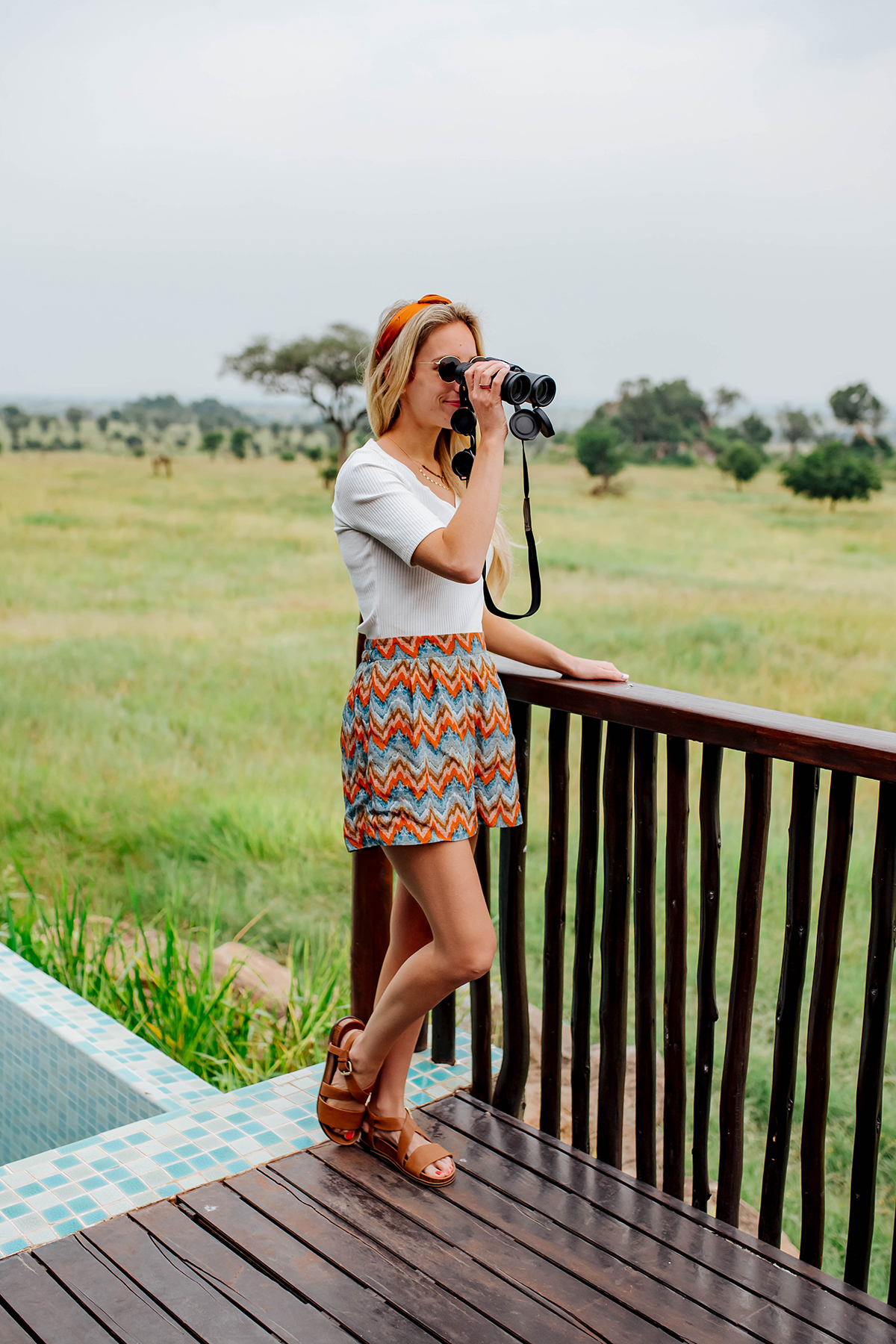 Anthropologie Ikat Shorts