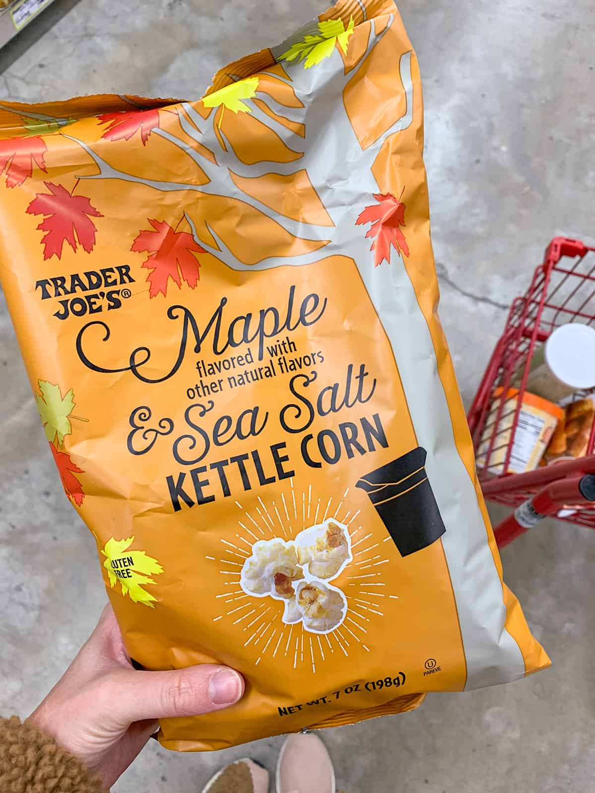 Katies Bliss Fall Trader Joes Haul