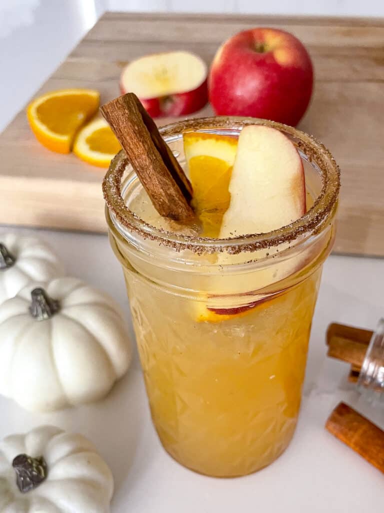 Spiced Apple Cider Punch Recipe
